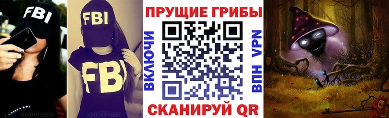 Галлюциногенные грибы Psilocybe Нововоронеж